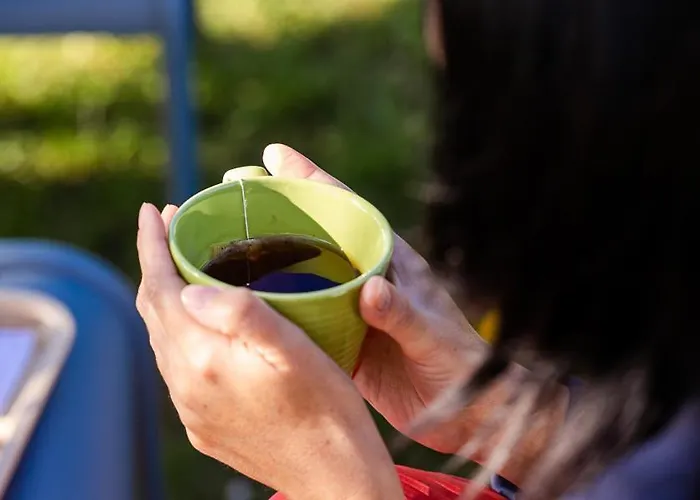 Hotel Ibis Budget Aeroport - A61 Carcassonne