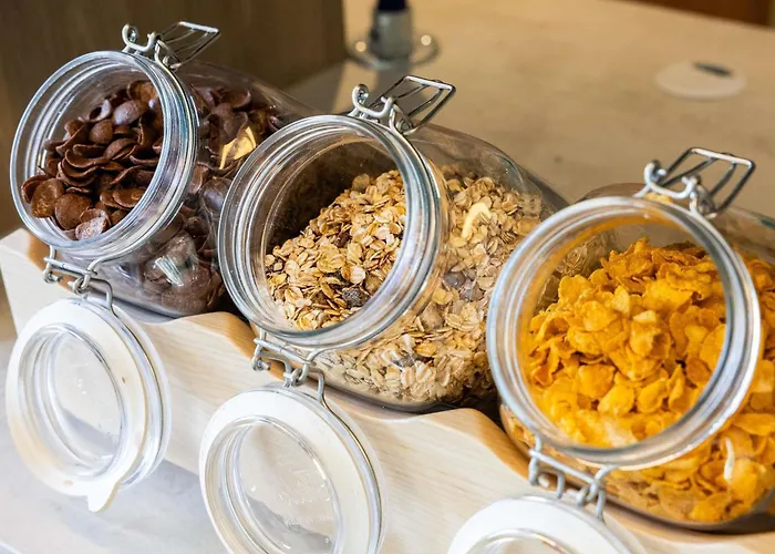 Ibis Budget Aeroport - A61 מלון קרקסון